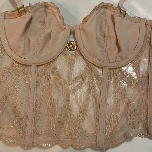AUBADE Elie Saab x Aubade My Desire Lace Bustier in Cream Size 30E/30DD NWT - Picture 10 of 15